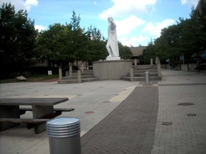 mccann_cscc_landscape
